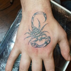 Scorpion Tattoo Design Good Times Tattoo Seattle